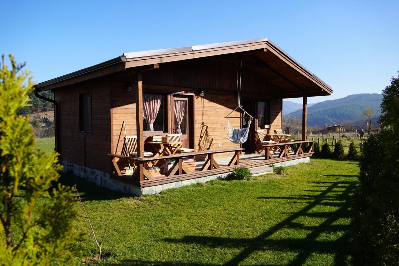 Hotel Orbel Dobriniszte Zewnętrze zdjęcie