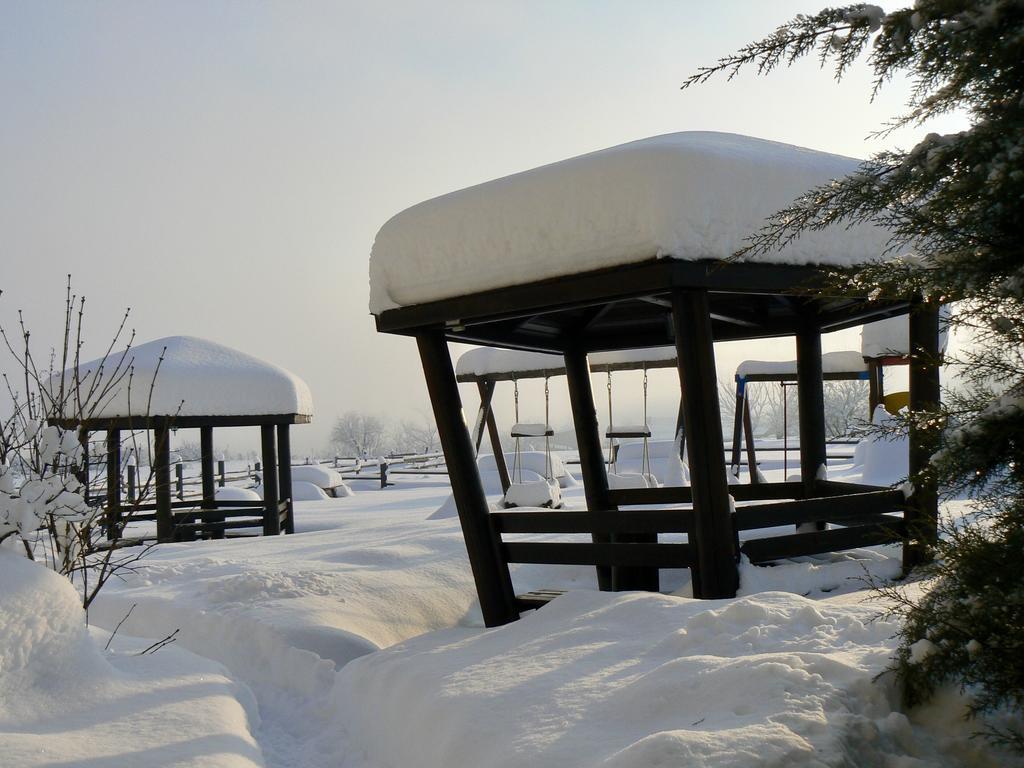Hotel Orbel Dobriniszte Zewnętrze zdjęcie