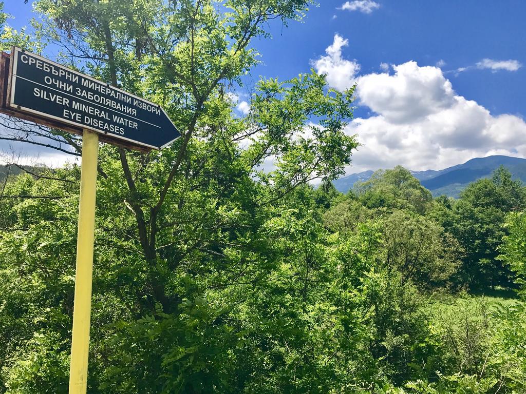 Hotel Orbel Dobriniszte Zewnętrze zdjęcie